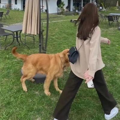 剩女小爱