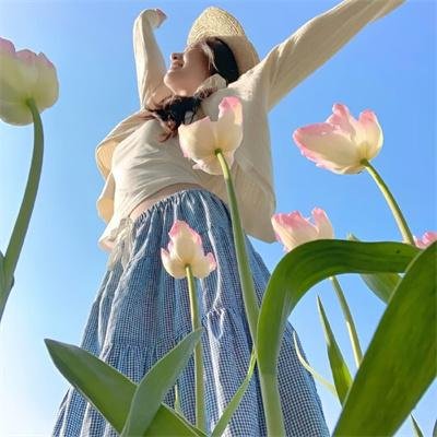 春满兰宫